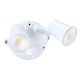 LED Spotlight 2 x 10W (White) Security Lighting