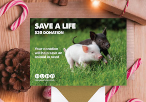 Christmas E Cards: Christmas E-Card $30 Save a Life Donation