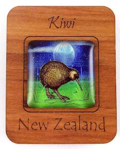 G036 Magnet - Kiwi