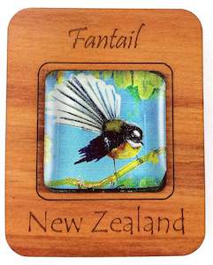 G036 Magnet - Fantail