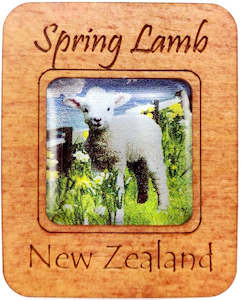 G036 Magnet - Spring Lamb