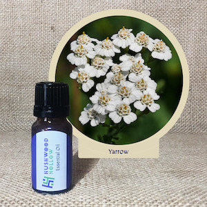 Yarrow 5% - Pure Essential Oil