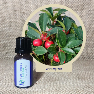 Wintergreen - Pure Essential Oil