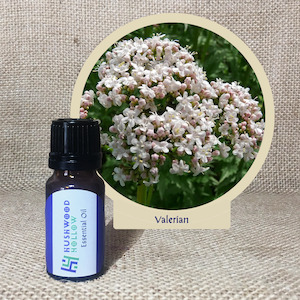 Valerian - Pure Essential Oil