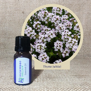 Thyme (white) - Pure Essential Oil