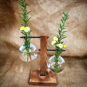 Home Decor: Cute Herb or Floral Display