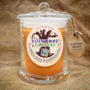 Soy Candle - Enchanted Musk