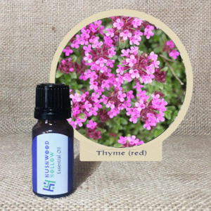 Natural Perfumery: Blending Element - Thyme (red)