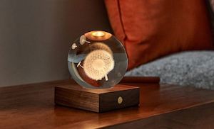 Homewares: Walnut Dandelion 3D Laser Light