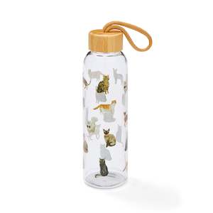 Homewares: Curious Cats Glass Bottle