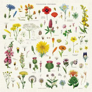 Wildflowers Cloth Napkin