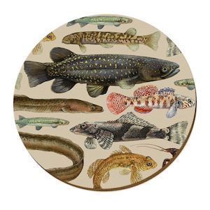 Homewares: Freshwater Fish Placemat