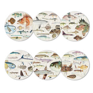 Homewares: Fishes of NZ Set of 6 Coasters