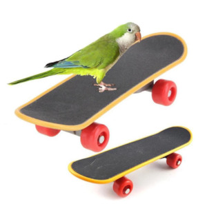 Bird Toy Skateboard Training Parrot Funny Intelligence Mini Skateboard