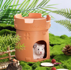 Sporting equipment: Guinea Pigs House, Rat House Hideout House Nest