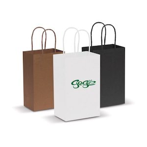 Paper Carry Bag – Small