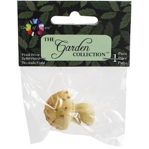 The Garden Collection Spotted Mushroom