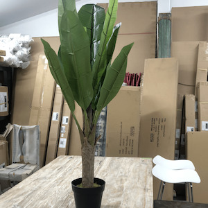 Furniture: Banana Tree W/Pot