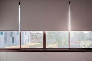 Furniture: Premium Blackout Roller Blinds