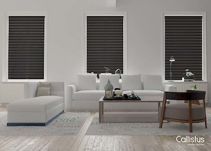 Furniture: Signature Luzon Blinds