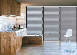 Furniture: Deluxe Luzon Blinds