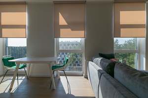 Furniture: Standard Light Filter Roller Blind