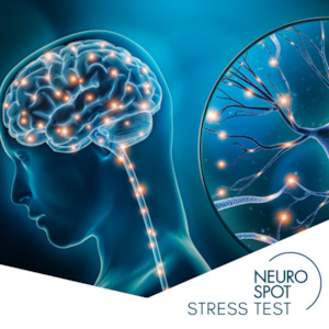 NeuroSpot+ Stress Test