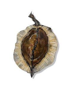 Jacaranda Seed Pod Sculpture - "Nature's Beauty" (23227)