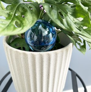 Self-Watering Globes Pack – Small Blue