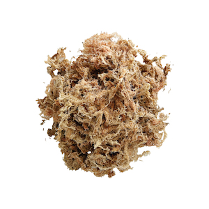 Besgrow Spagmoss – Large