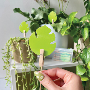 uBloomd Green Sticky Traps – Monstera