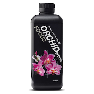 Orchid Focus Bloom by Growth Technology – 1 Litre