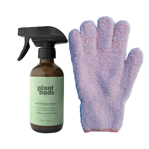 Plantbuds Leaf Shine & Leaf Glove Bundle