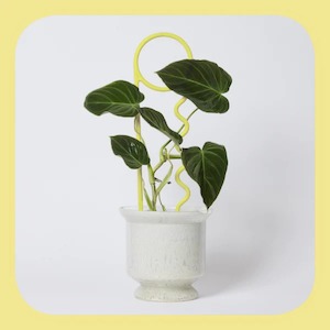 Plant Pin – Butter