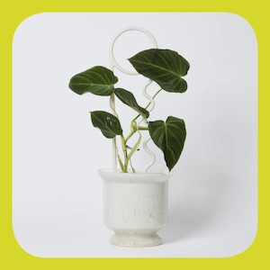 Plant Pin – Milk