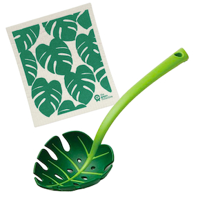 The Monstera Fan Gift Bundle