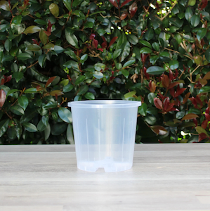 Clear Nursery Pot 14cm