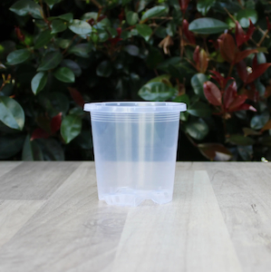 Plant, garden: Clear Nursery Pot 9cm