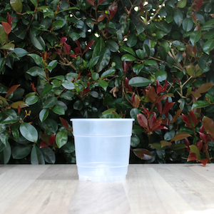 Plant, garden: Clear Nursery Pot 11cm