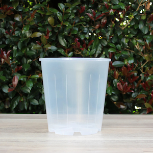 Clear Nursery Pot 20cm