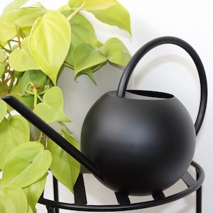 Soho Watering Can – Black