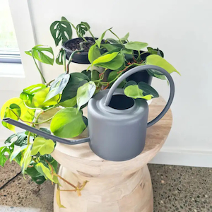 Hampton Indoor Watering Can – Charcoal