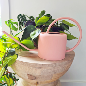 Hampton Indoor Watering Can – Pink