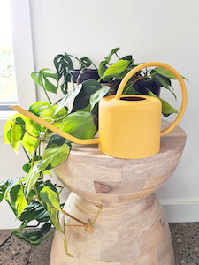 Hampton Indoor Watering Can – Yellow