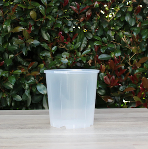 Clear Nursery Pot 15cm