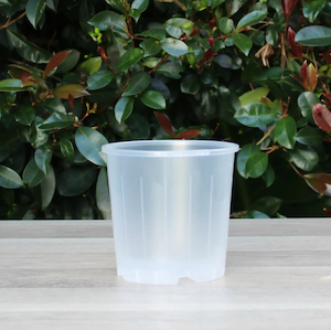 Clear Nursery Pot 10cm