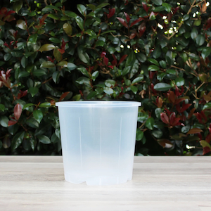 Clear Nursery Pot 17cm