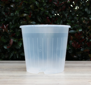 Clear Nursery Pot 23cm