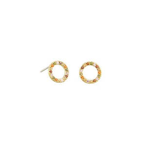 Furniture: Rainbow Circle Earrings