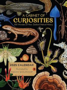 Furniture: Tanya Wolfkamp 2025 Calendar